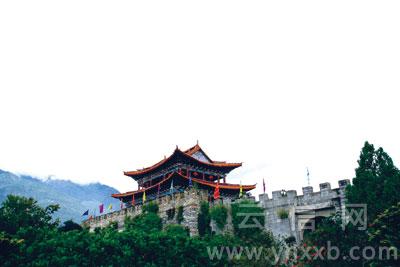 兰花 生于大理的风韵 兰花 生于大理的风韵