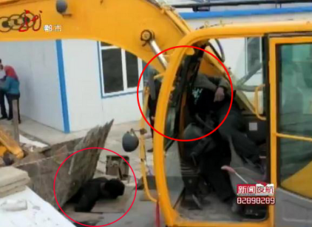 老人抗强拆被挖掘机拦腰砸死 老人抗强拆被挖掘机拦腰砸死