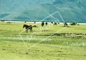 花甸坝:藏在大理的深山秘境 花甸坝:藏在大理的深山秘境