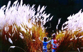 大理白族的图片集合 大理白族的图片集合