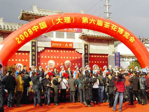 中国第六届茶花博览会在大理开幕 中国第六届茶花博览会在大理开幕