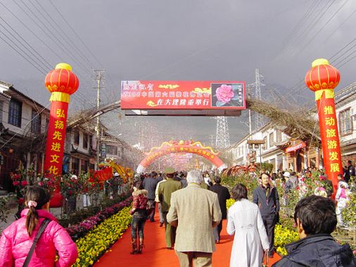 中国第六届茶花博览会在大理开幕 中国第六届茶花博览会在大理开幕