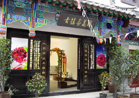 云南楚雄茶花专业街开业 云南楚雄茶花专业街开业