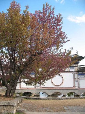 在大理的星空下。。。悠游。。。第四日 在大理的星空下。。。悠游。。。第四日