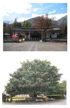 在大理的星空下。。。悠游。。。第四日 在大理的星空下。。。悠游。。。第四日