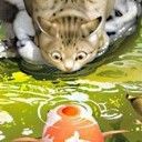 大理名食名店---《中国报道》 大理名食名店---《中国报道》