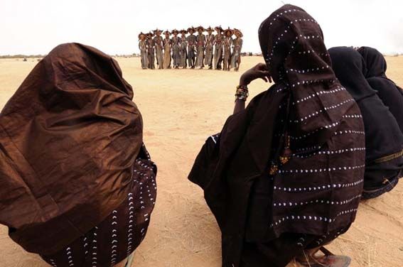 非洲荒野上的选美男 非洲荒野上的选美男