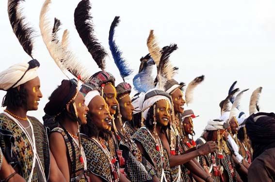 非洲荒野上的选美男 非洲荒野上的选美男