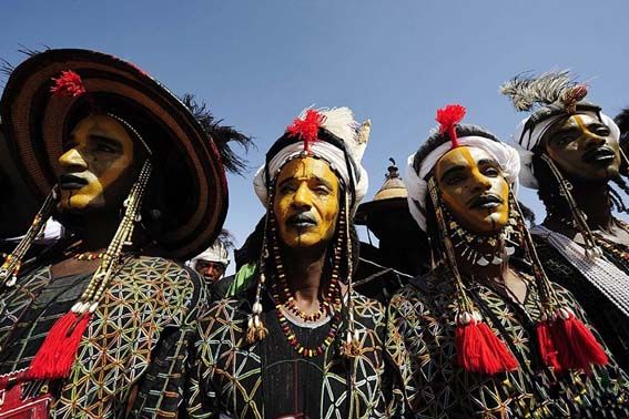 非洲荒野上的选美男 非洲荒野上的选美男