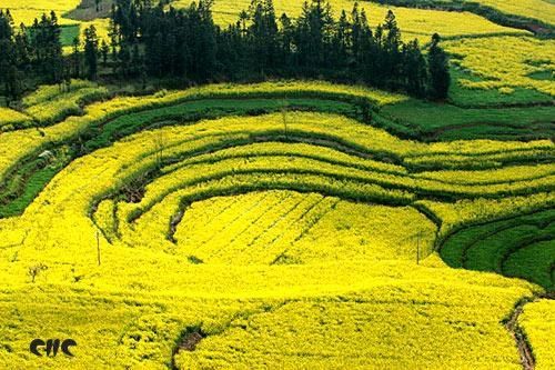 春光乍泄 到云南寻春必做的4件事 春光乍泄 到云南寻春必做的4件事