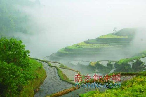 见识贵州苗家男女的头上功夫 见识贵州苗家男女的头上功夫