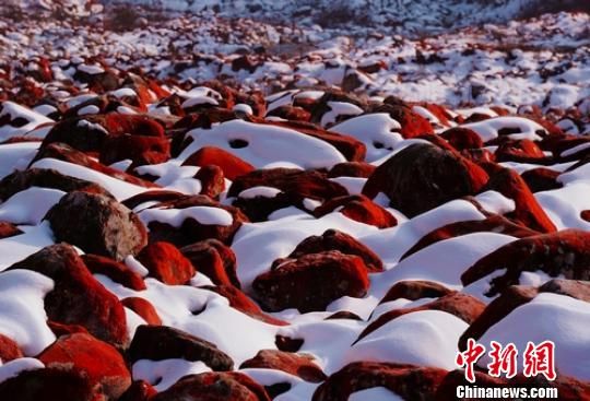 四川甘孜藏区高原美景引来13万多游客 四川甘孜藏区高原美景引来13万多游客