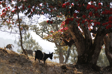 U6393P1032DT20110822134049.gif U6393P1032DT20110822134049.gif