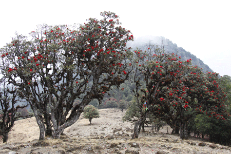 U6393P1032DT20110822134049.gif U6393P1032DT20110822134049.gif
