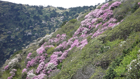 U6393P1032DT20110822134049.gif U6393P1032DT20110822134049.gif