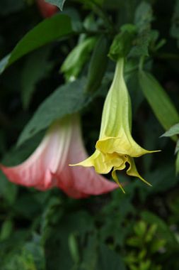 U6393P1032DT20110825093721.jpg U6393P1032DT20110825093721.jpg