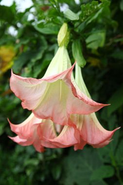 U6393P1032DT20110825093721.jpg U6393P1032DT20110825093721.jpg