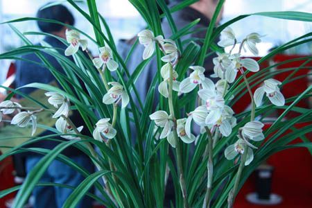 U5235P1032DT20110218233100.jpg U5235P1032DT20110218233100.jpg