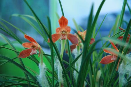 U5235P1032DT20110218233100.jpg U5235P1032DT20110218233100.jpg