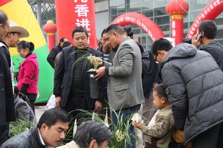 U5235P1032DT20110218233100.jpg U5235P1032DT20110218233100.jpg