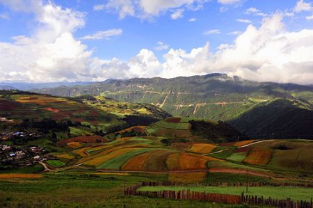 U5200P1032DT20110819100537.jpg U5200P1032DT20110819100537.jpg