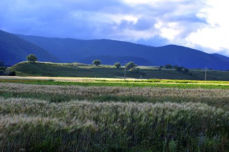 U5200P1032DT20110819100537.jpg U5200P1032DT20110819100537.jpg