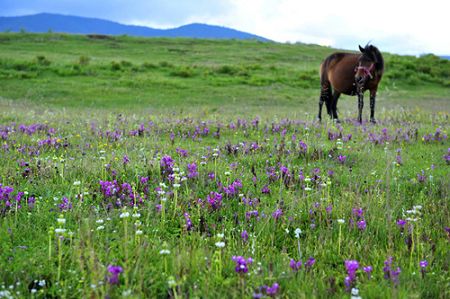 U5200P1032DT20110819100537.jpg U5200P1032DT20110819100537.jpg