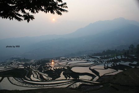 U5039P1032DT20120615101816.jpg U5039P1032DT20120615101816.jpg