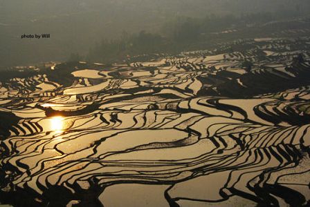 U5039P1032DT20120615101816.jpg U5039P1032DT20120615101816.jpg