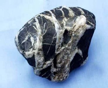 U5200P1032DT20120605103413.jpg U5200P1032DT20120605103413.jpg