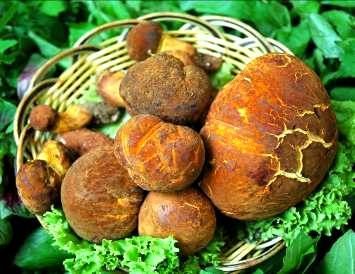 U5039P1032DT20120903104001.jpg U5039P1032DT20120903104001.jpg