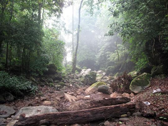 U4958P1032DT20121019105116.jpg U4958P1032DT20121019105116.jpg