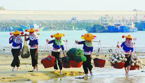 res02_attpic_brief(2).jpg res02_attpic_brief(2).jpg