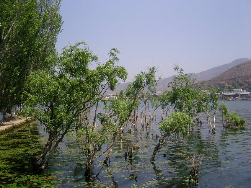 MARVELY21110035734.jpg MARVELY21110035734.jpg