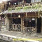 YINHUILAN082411142634734.jpg YINHUILAN082411142634734.jpg