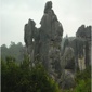 YINHUILAN082411142634734.jpg YINHUILAN082411142634734.jpg