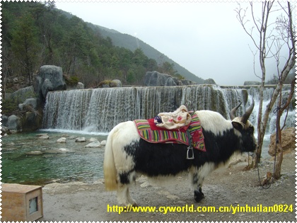 YINHUILAN082411142634734.jpg YINHUILAN082411142634734.jpg
