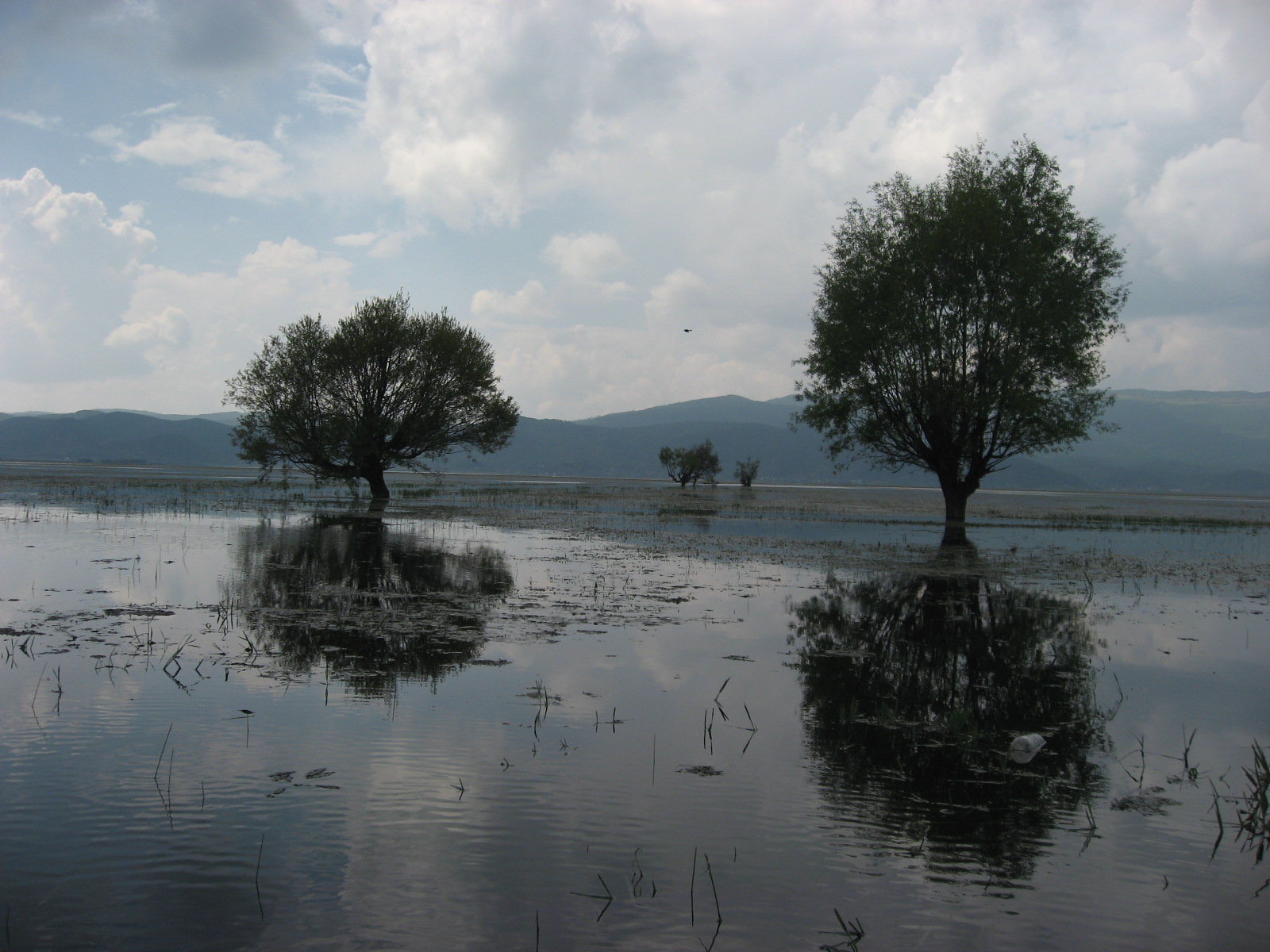 CINDYWANG200012113329734.JPG CINDYWANG200012113329734.JPG