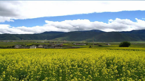 U6393P1032DT20130328103739.jpg U6393P1032DT20130328103739.jpg