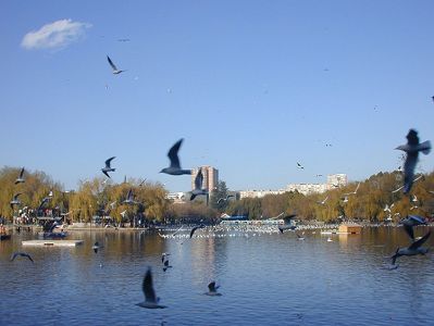WINDNIW13194548734.jpg WINDNIW13194548734.jpg