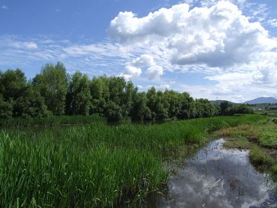 NSKVICTOR16000903734.jpg NSKVICTOR16000903734.jpg
