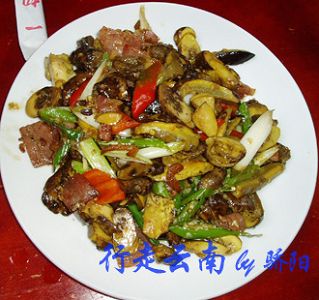 LOVERTANG10234657734.jpg LOVERTANG10234657734.jpg