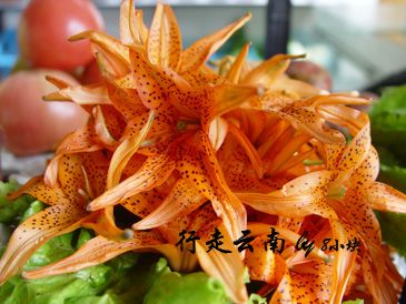 LOVERTANG10234657734.jpg LOVERTANG10234657734.jpg