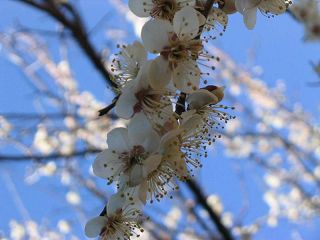 wri788275.jpg wri788275.jpg