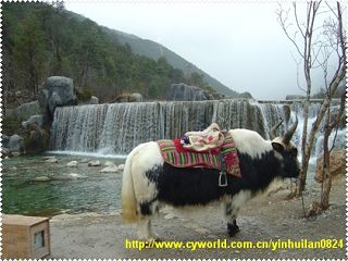 YINHUILAN082411142634734.jpg YINHUILAN082411142634734.jpg