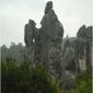 YINHUILAN082411142634734.jpg YINHUILAN082411142634734.jpg