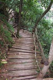 Pwri713712.jpg Pwri713712.jpg