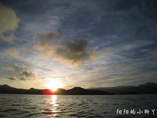 ATHENA_CYY25235229734.JPG ATHENA_CYY25235229734.JPG