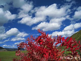 ATHENA_CYY25235942734.JPG ATHENA_CYY25235942734.JPG