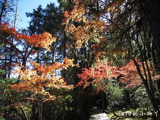 ATHENA_CYY26000711734.JPG ATHENA_CYY26000711734.JPG
